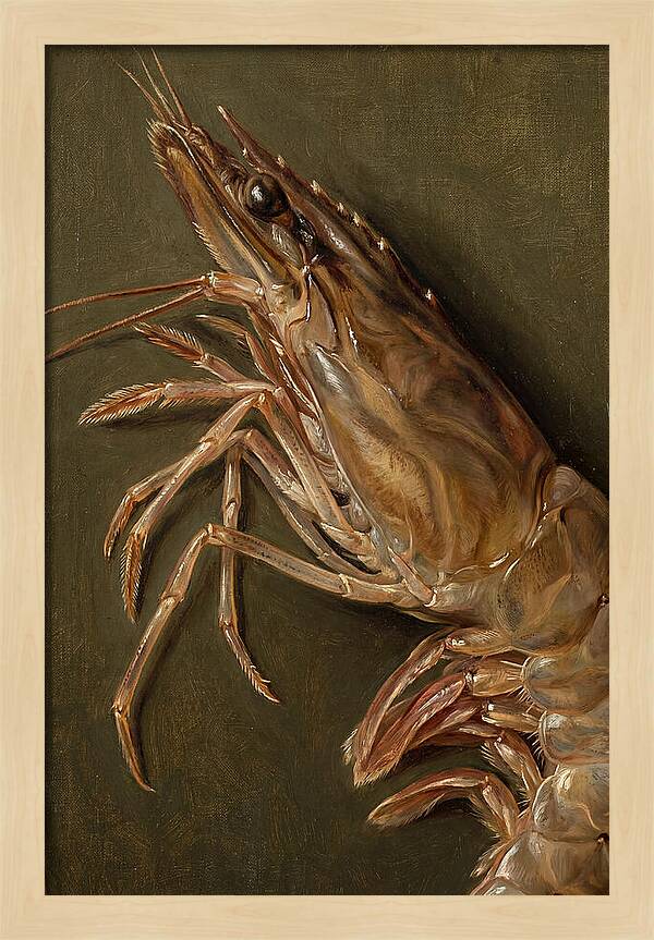Shrimp Realism Study