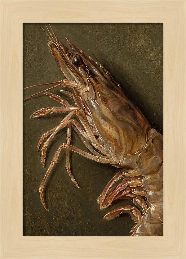 Shrimp Realism Study