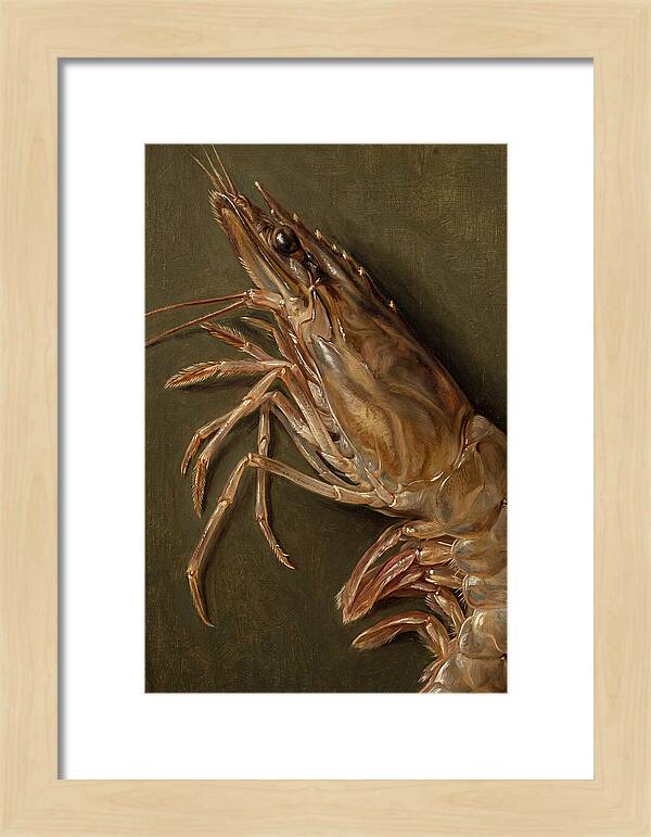 Shrimp Realism Study