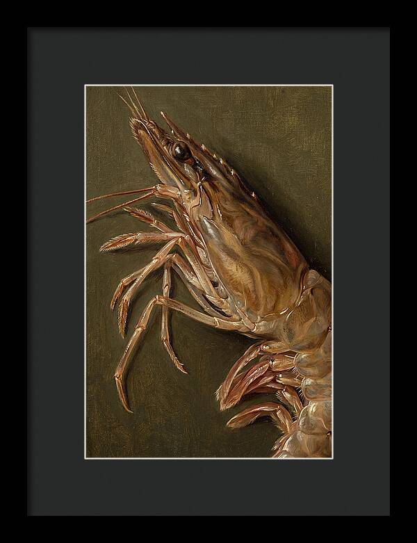 Shrimp Realism Study