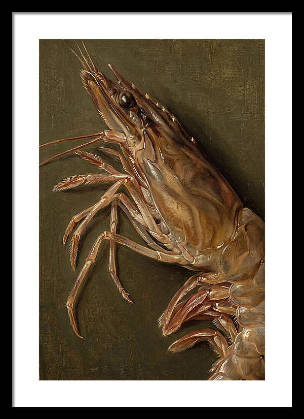 Shrimp Realism Study