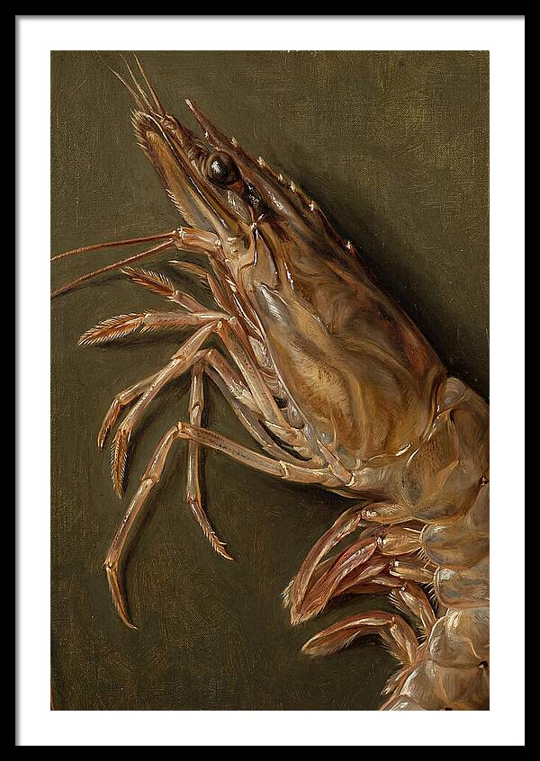 Shrimp Realism Study