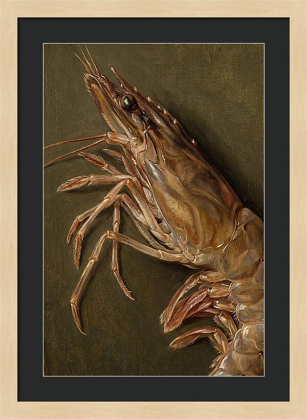 Shrimp Realism Study