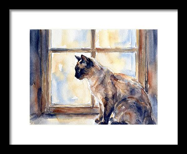 Siamese Cat By The Window