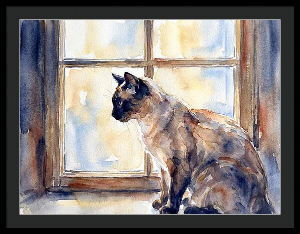 Siamese Cat By The Window