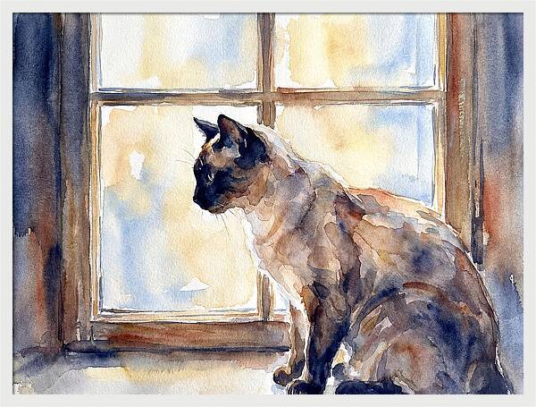 Siamese Cat By The Window