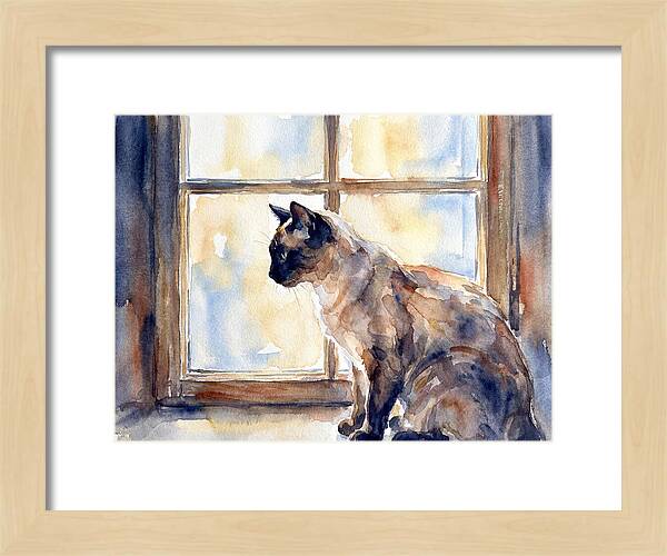 Siamese Cat By The Window