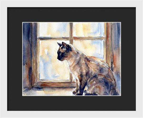 Siamese Cat By The Window
