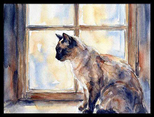 Siamese Cat By The Window
