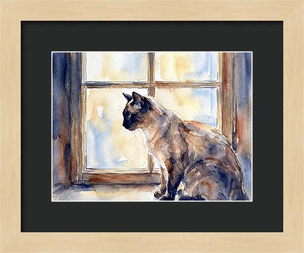 Siamese Cat By The Window