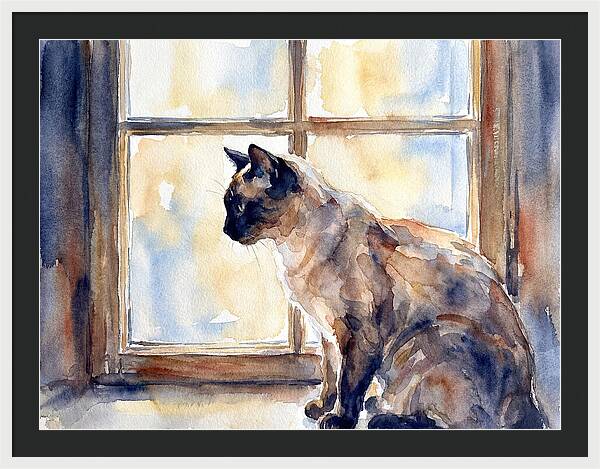 Siamese Cat By The Window