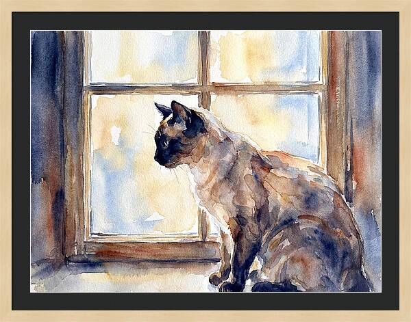Siamese Cat By The Window