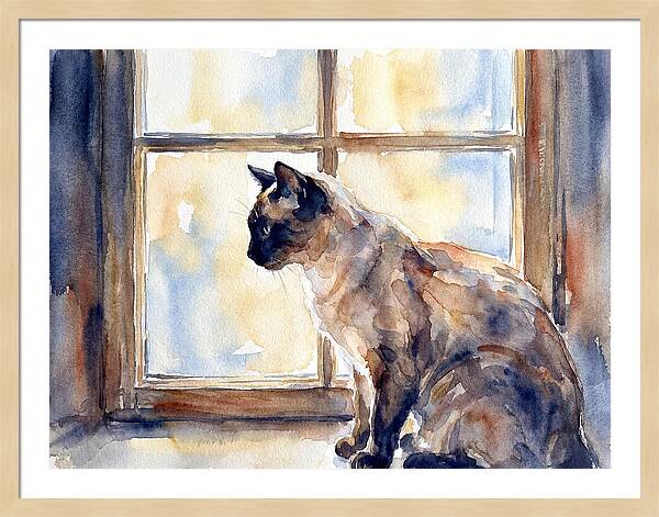 Siamese Cat By The Window