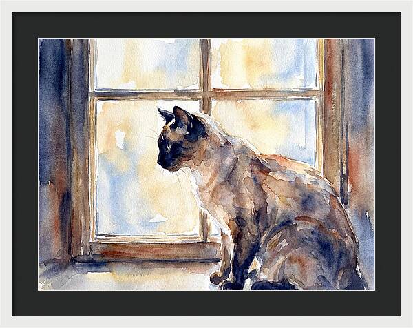 Siamese Cat By The Window