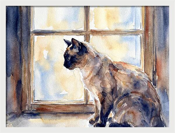 Siamese Cat By The Window