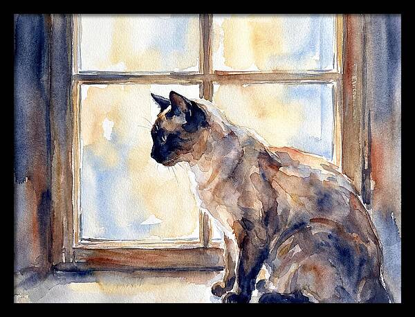 Siamese Cat By The Window