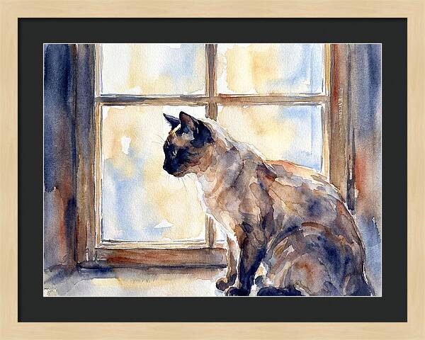 Siamese Cat By The Window