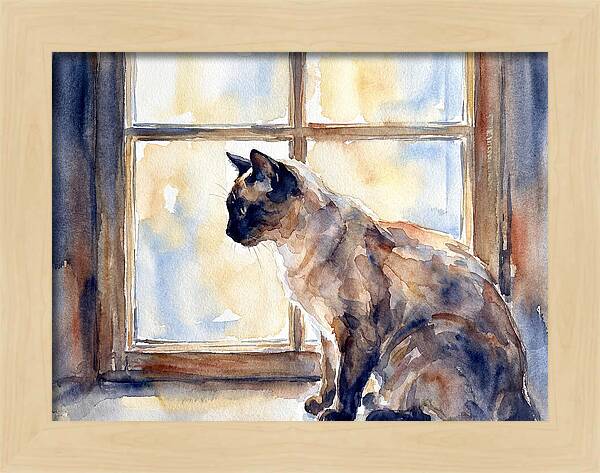 Siamese Cat By The Window