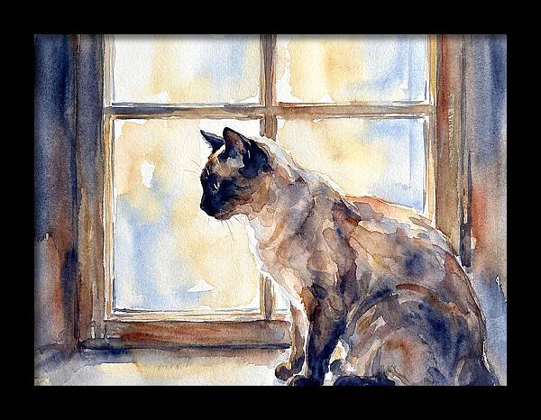 Siamese Cat By The Window