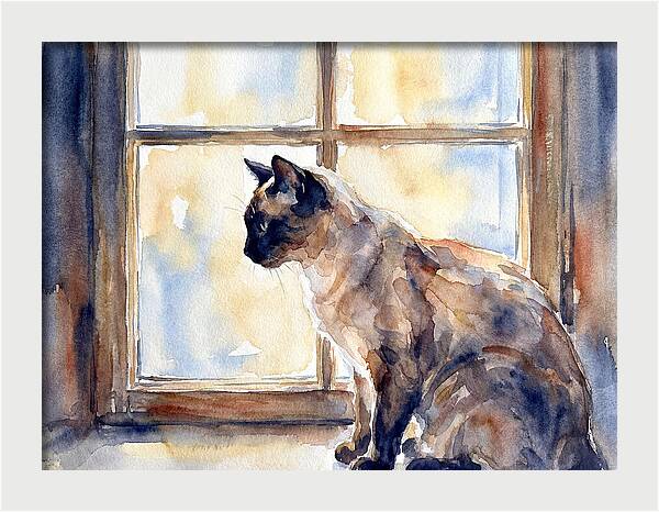 Siamese Cat By The Window