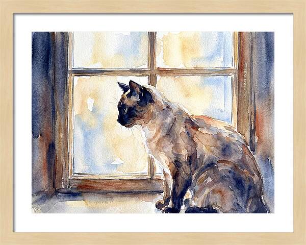 Siamese Cat By The Window