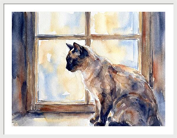 Siamese Cat By The Window