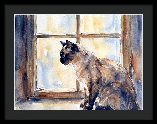 Siamese Cat By The Window