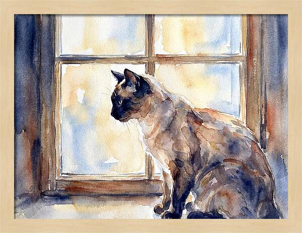 Siamese Cat By The Window