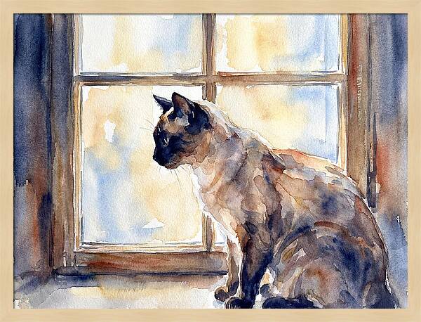 Siamese Cat By The Window