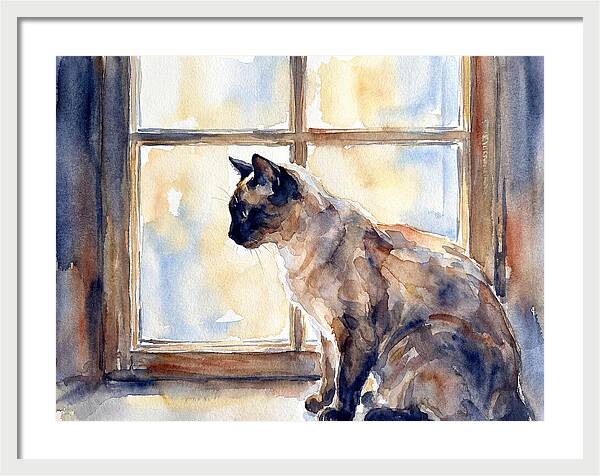 Siamese Cat By The Window