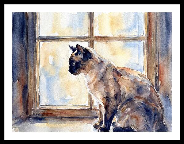 Siamese Cat By The Window