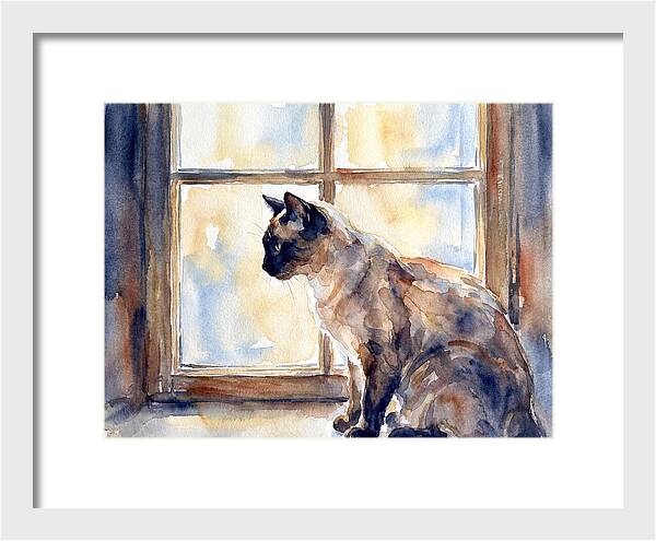 Siamese Cat By The Window