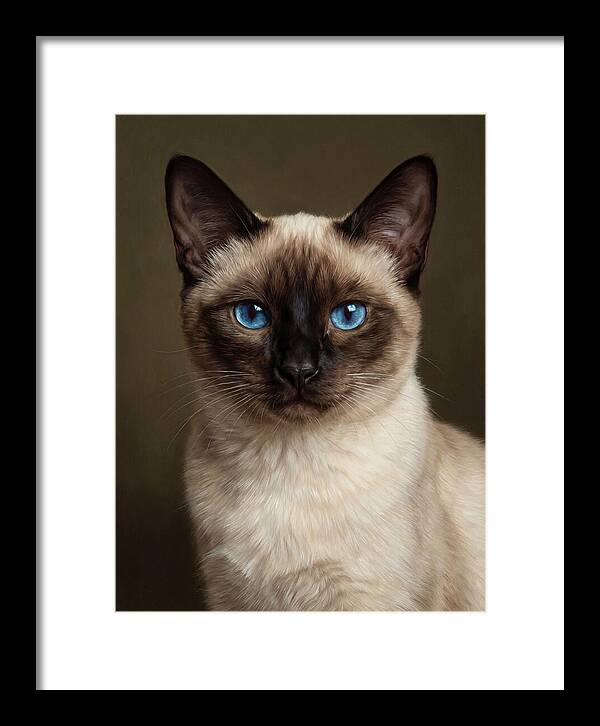 Siamese Cat Portrait