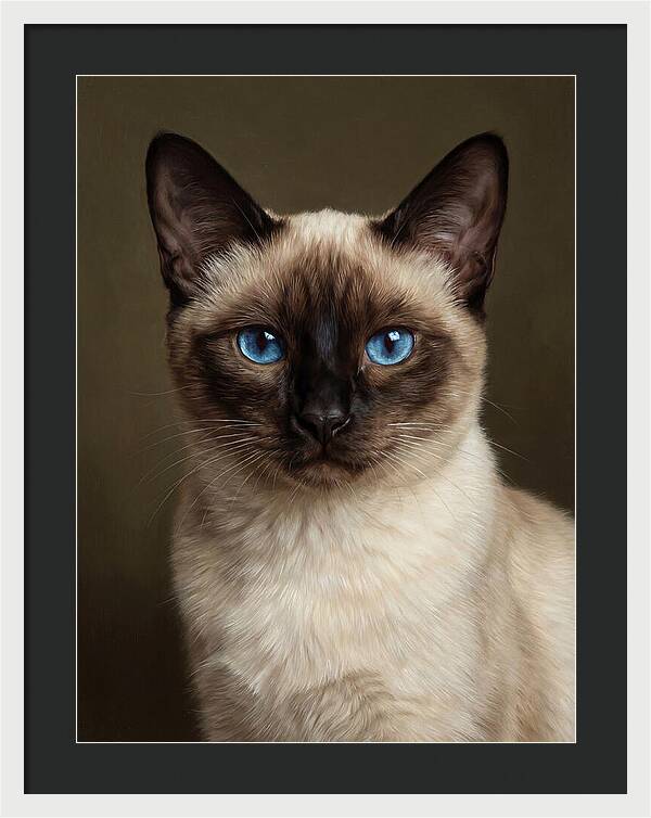 Siamese Cat Portrait