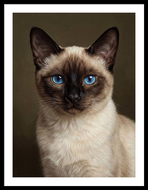 Siamese Cat Portrait