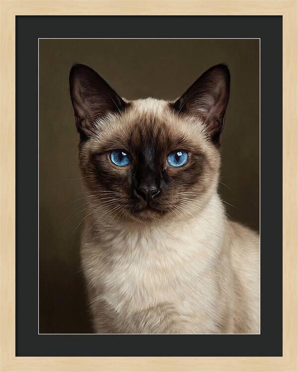 Siamese Cat Portrait
