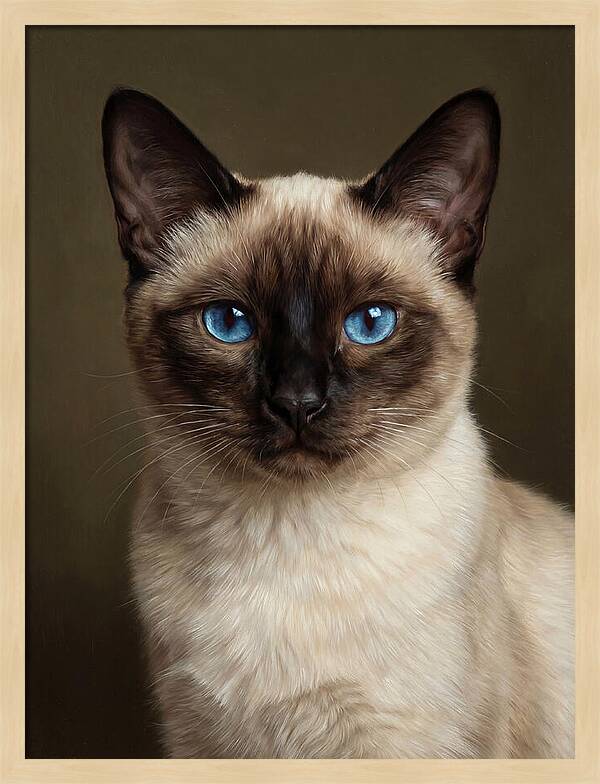 Siamese Cat Portrait