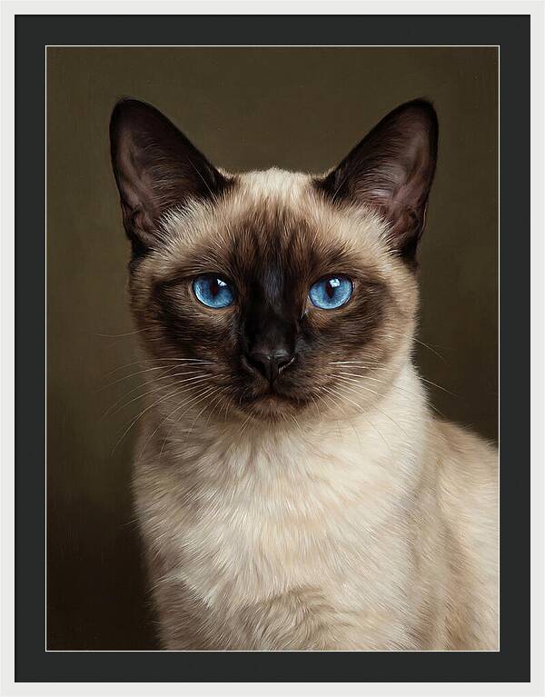Siamese Cat Portrait