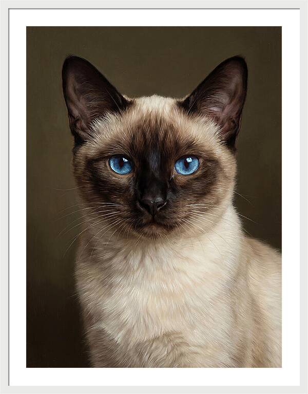 Siamese Cat Portrait