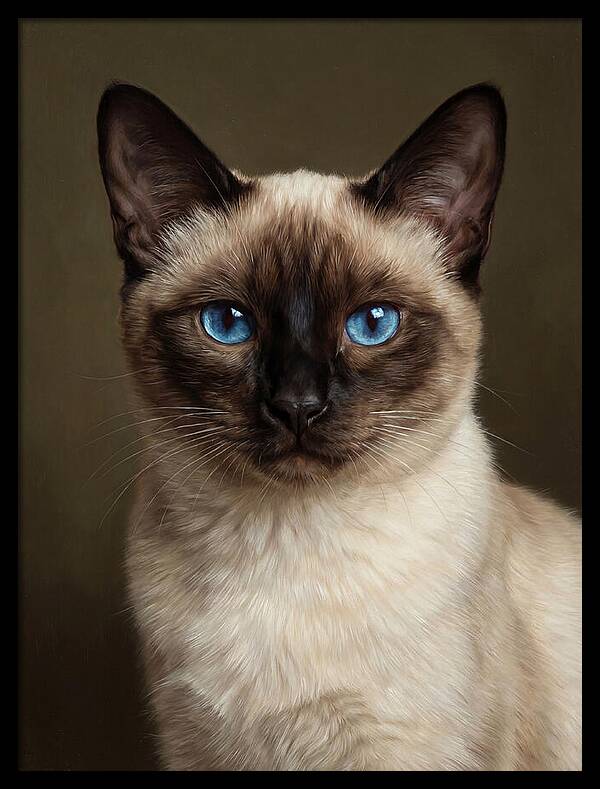 Siamese Cat Portrait