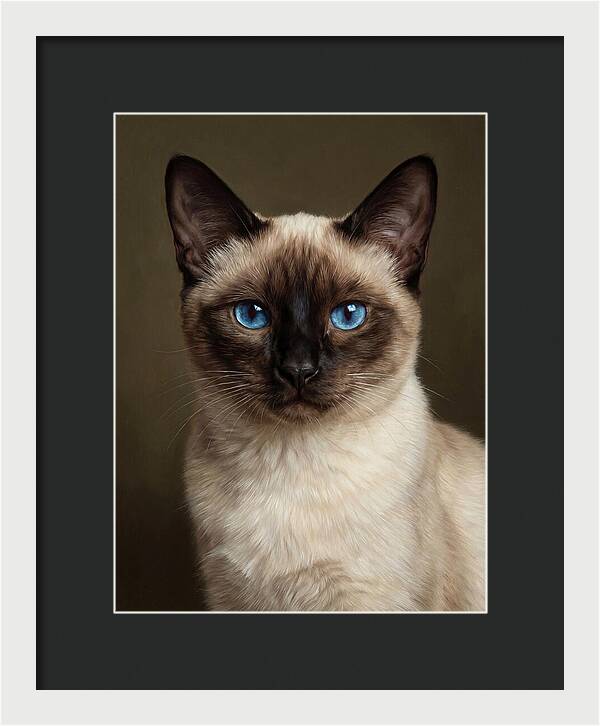 Siamese Cat Portrait