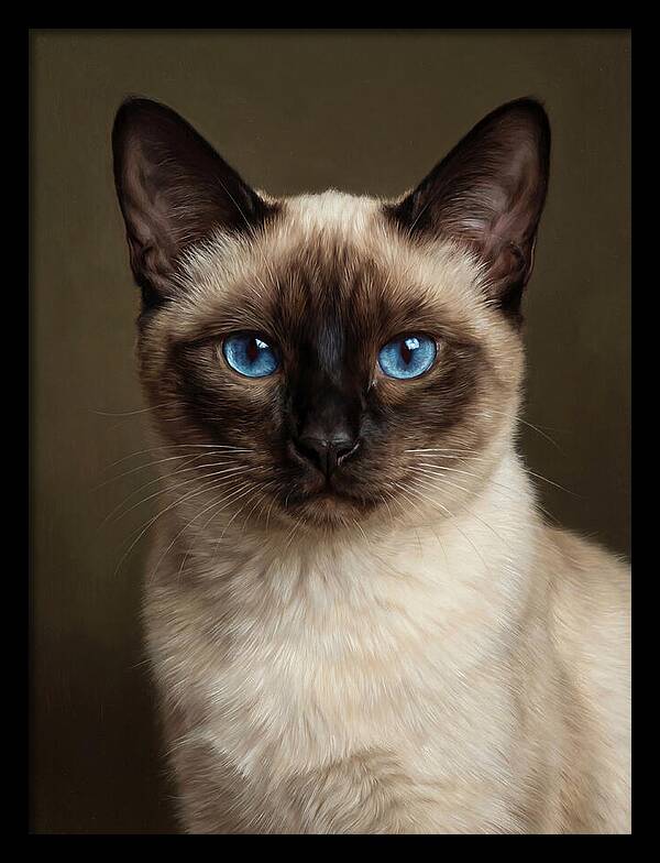 Siamese Cat Portrait