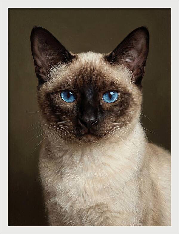 Siamese Cat Portrait