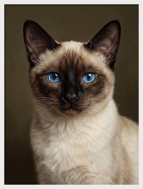 Siamese Cat Portrait