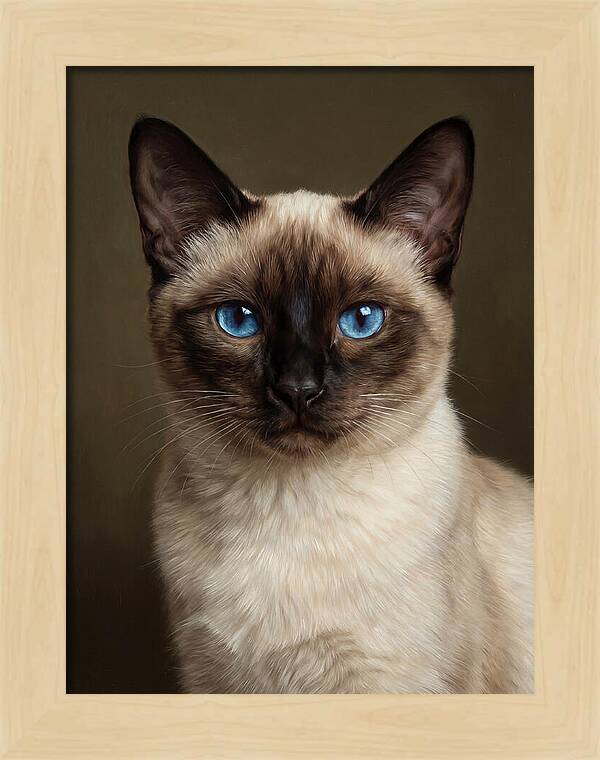 Siamese Cat Portrait