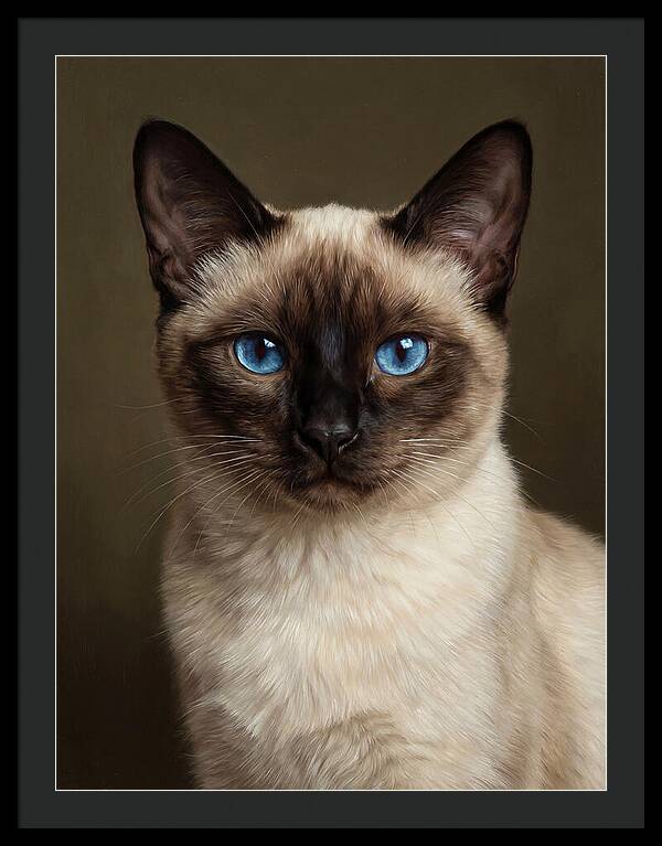 Siamese Cat Portrait