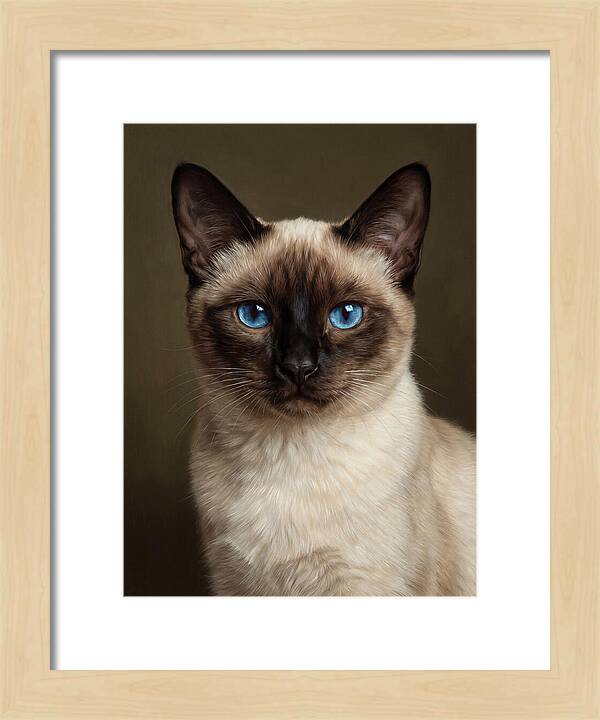 Siamese Cat Portrait