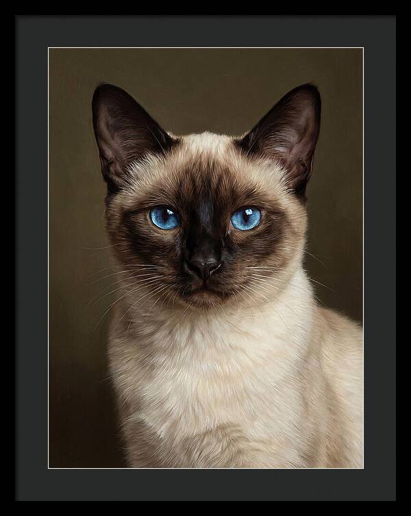 Siamese Cat Portrait