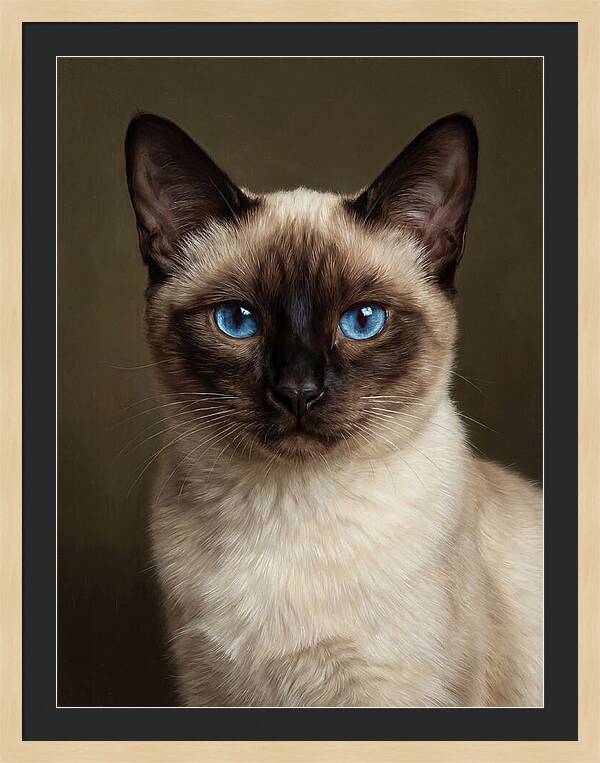 Siamese Cat Portrait