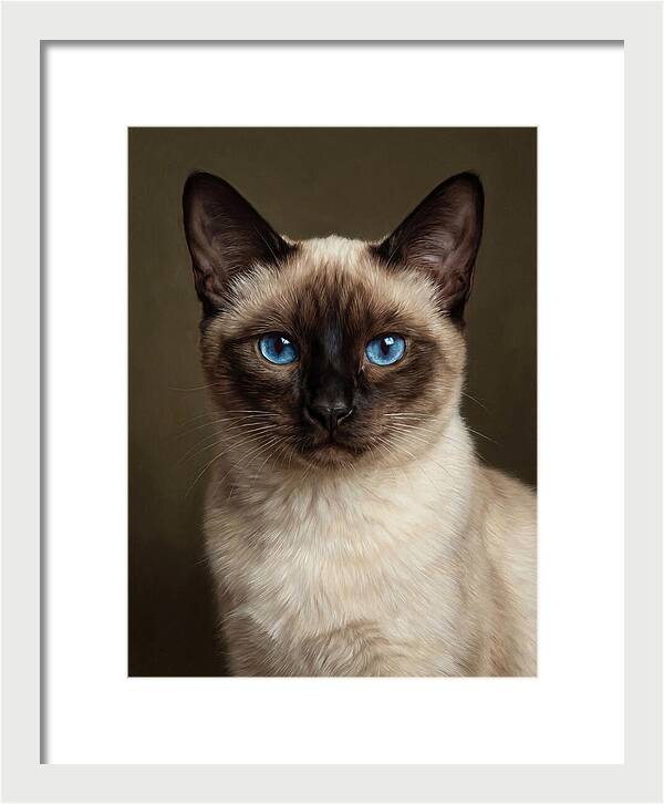 Siamese Cat Portrait